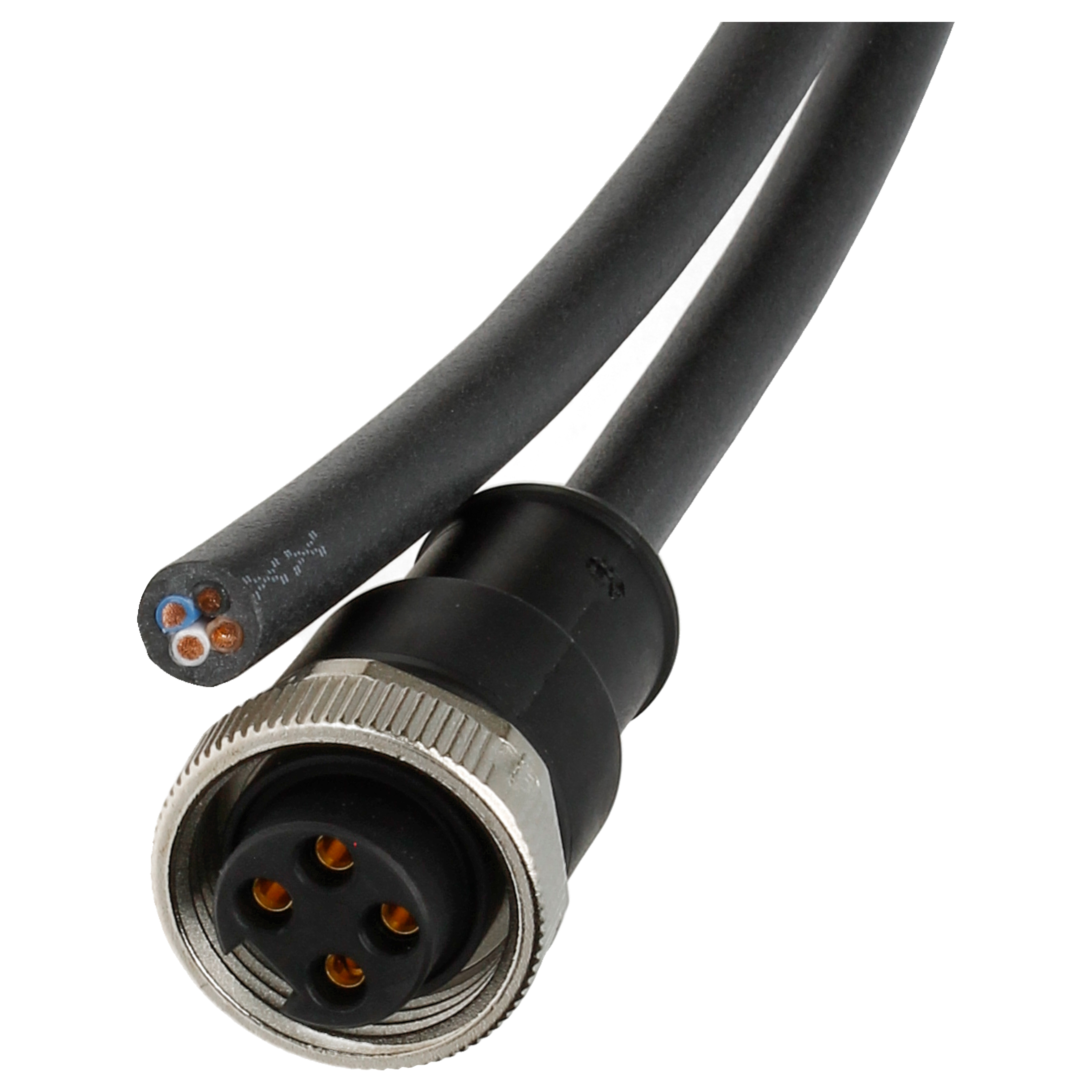 BINDER Socket Circular 4p with Cable 2m 79-2456-20-04