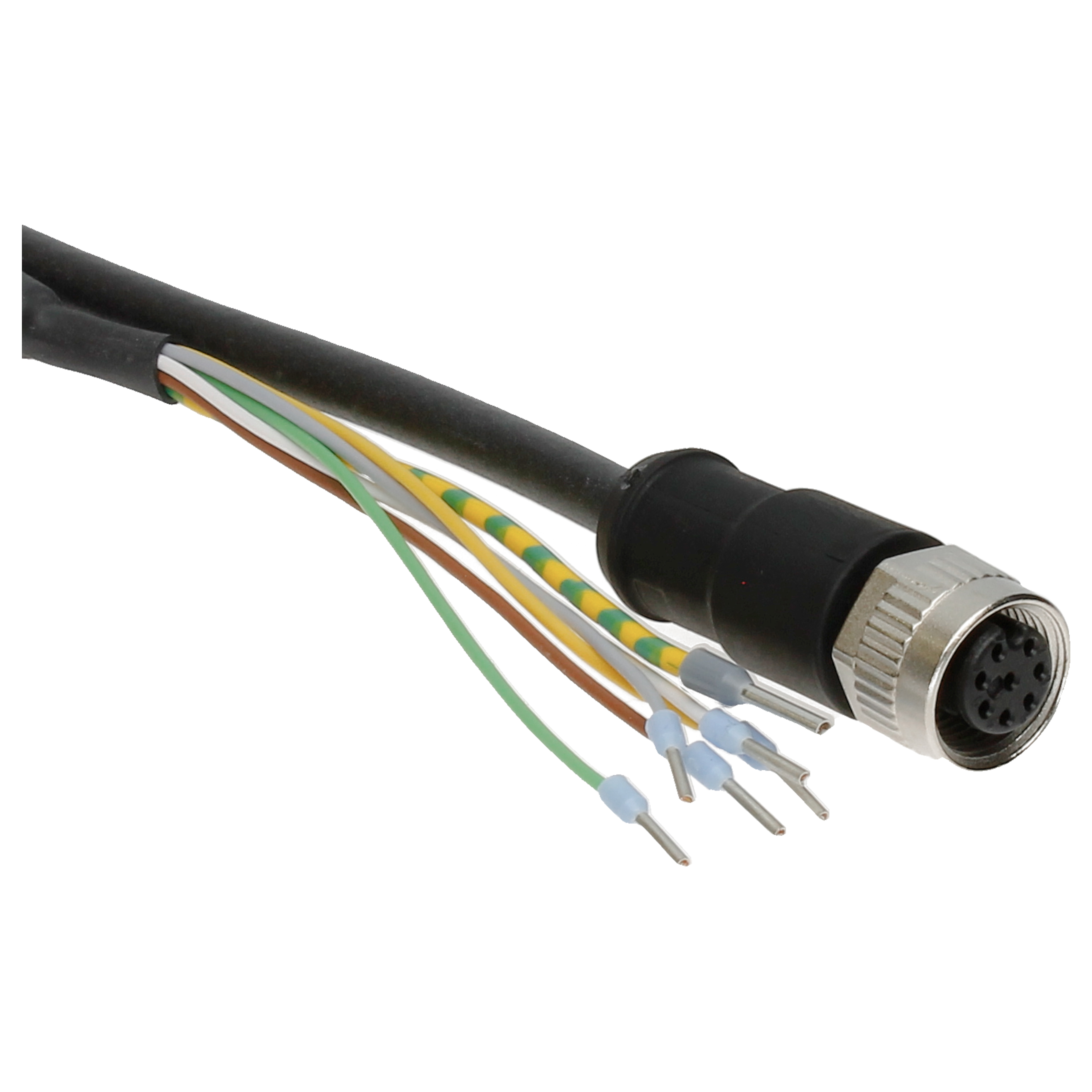 BINDER Socket Circular 8p with Cable 10m 79-3480-286-08