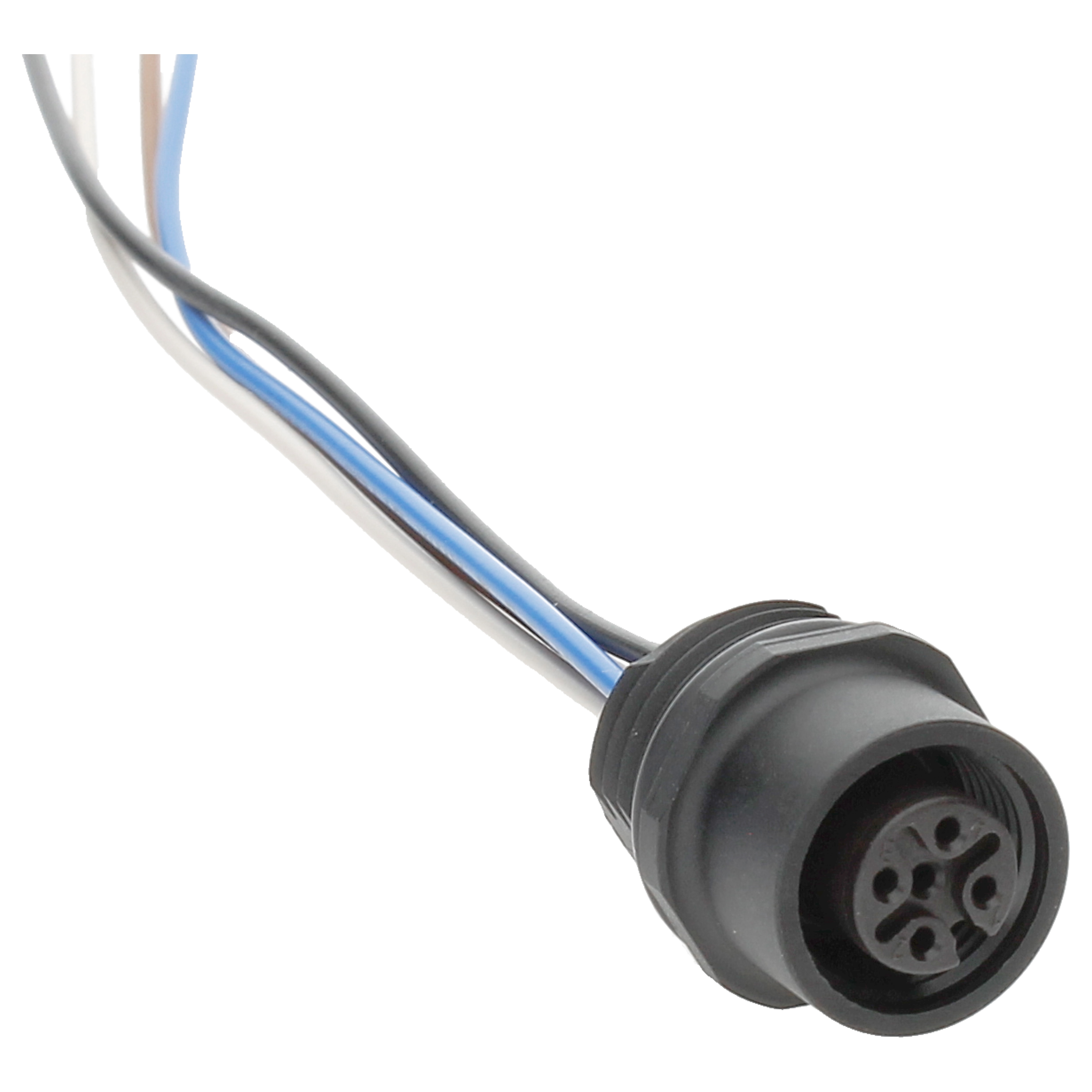 BINDER Socket Circular M12 4p with Strands 0.2m 76-4332-0011-00004-0200