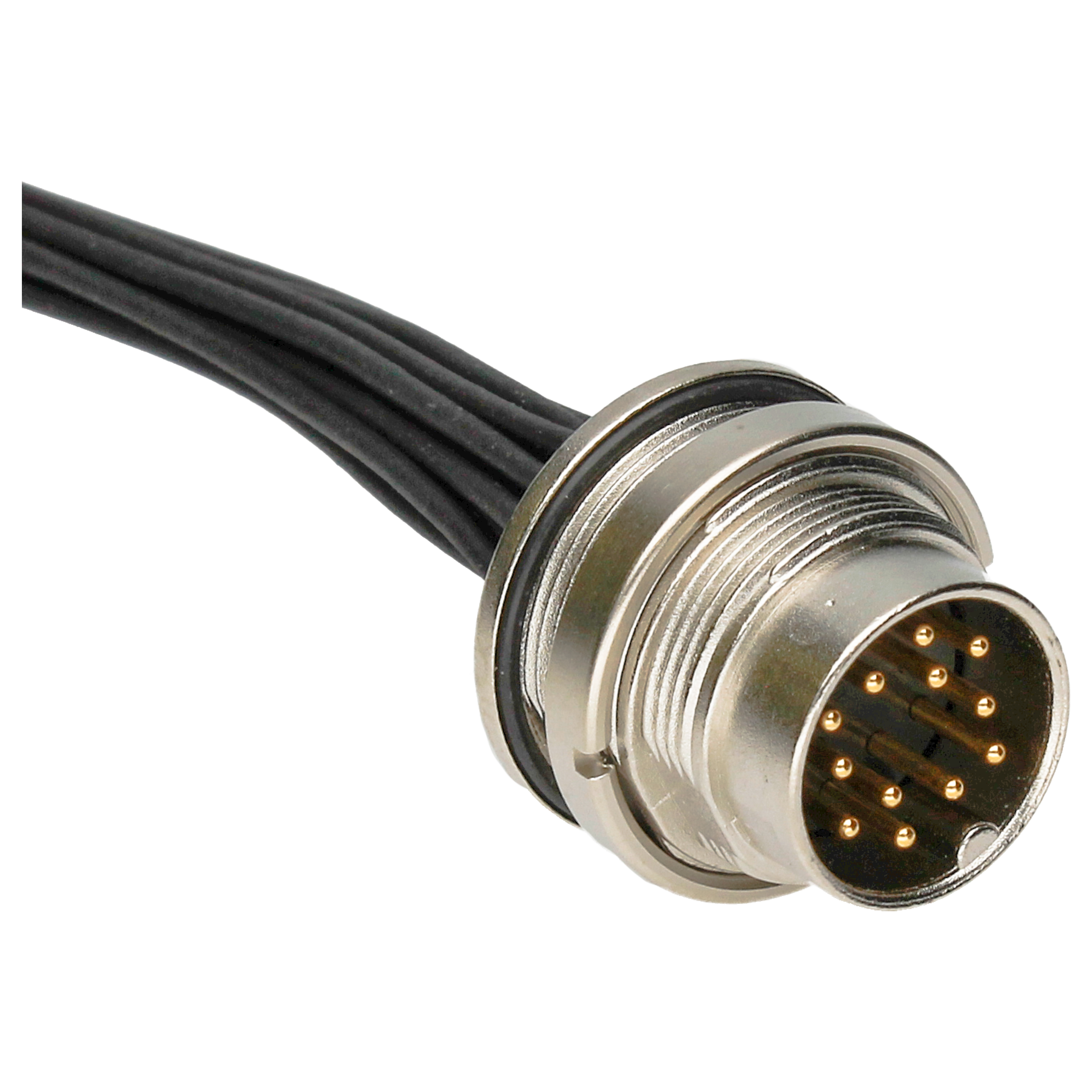 BINDER Plug Circular M16 12p with Strands 0.1m 09-0131-182-12