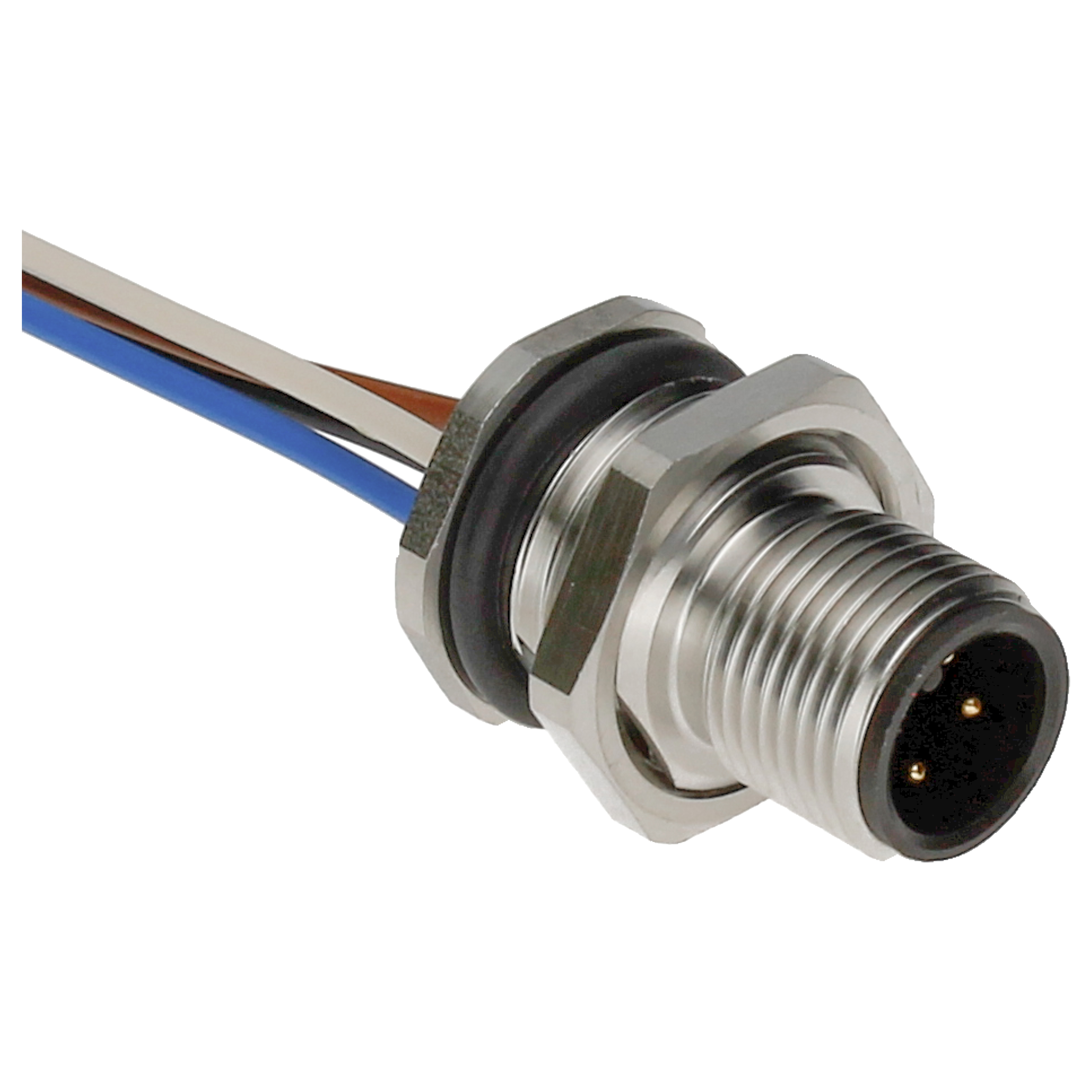 BINDER Plug Circular M12 4p with Strands 0.2m 76-2531-1111-00004-0200