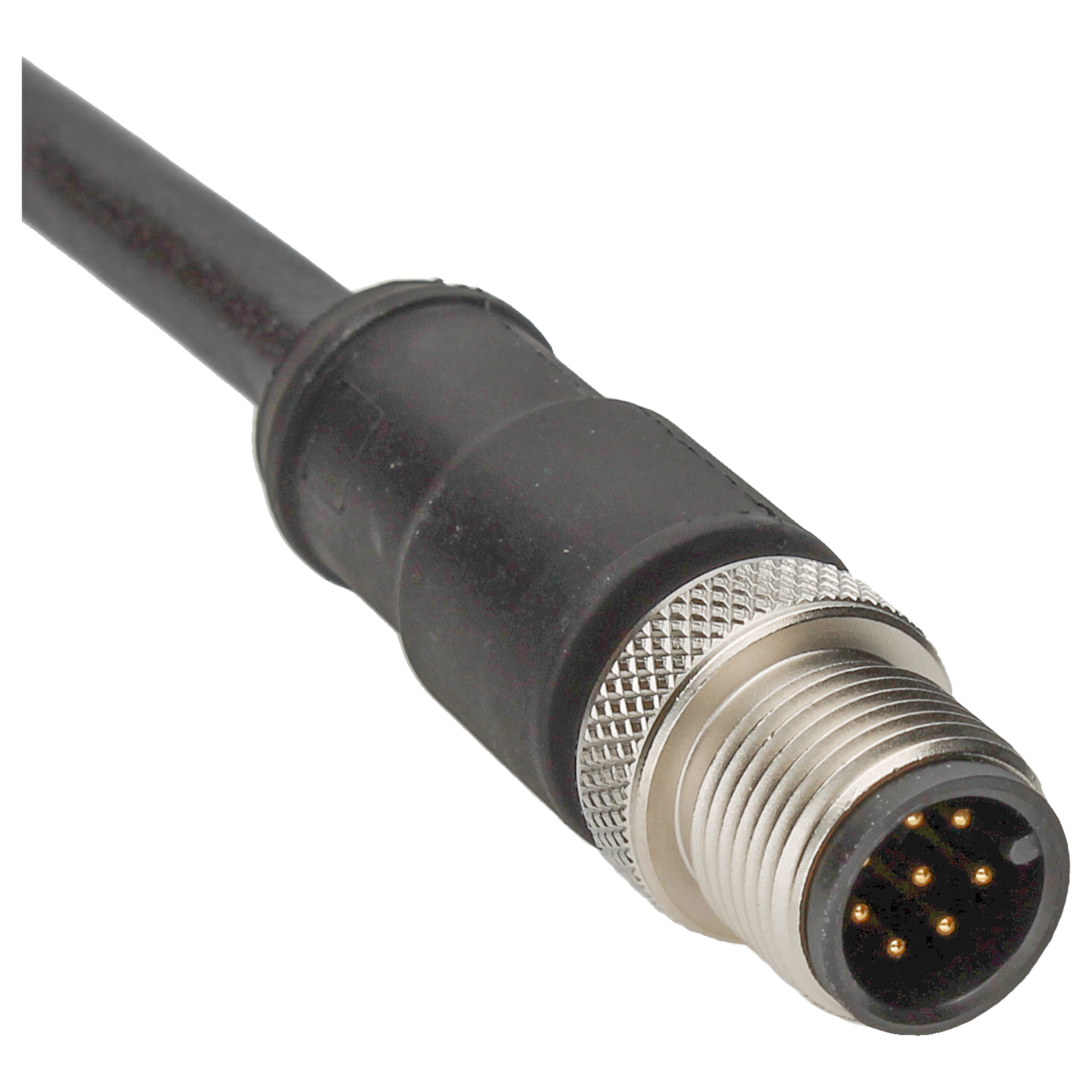 BINDER Plug Circular M12 8p with Cable 10m 77-3529-0000-50708-1000