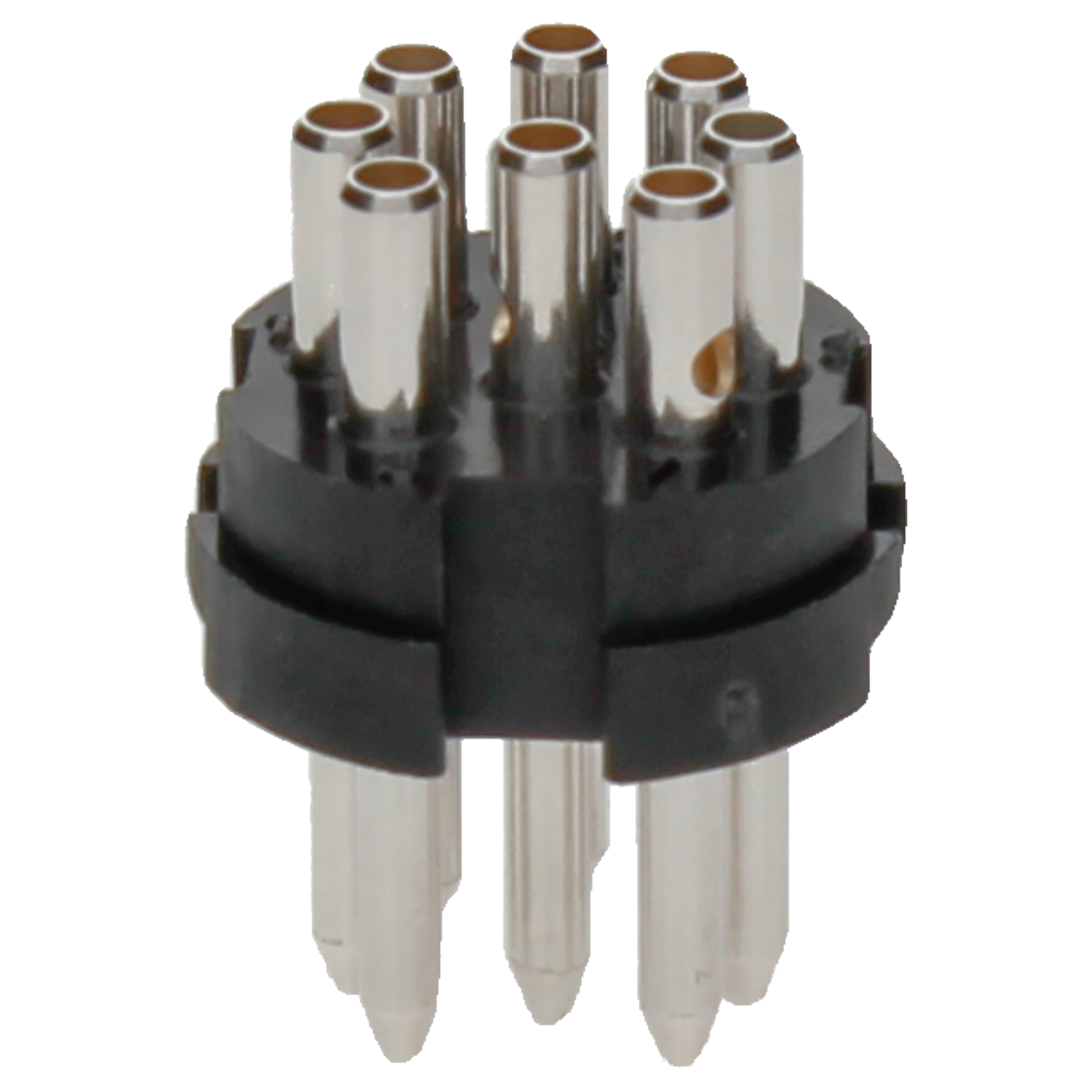 BINDER Plug Insert 8p 03-0063-000-020