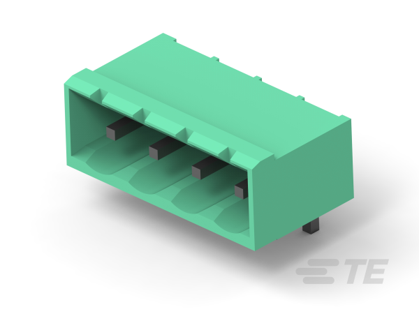 TE CONNECTIVITY Plug Square 2p THT 796644-2