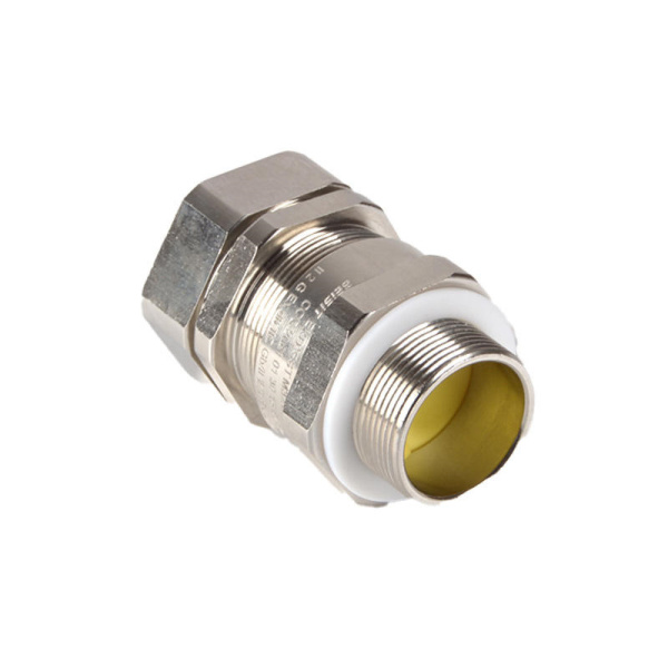 картинка Метрический И NPT Тип Одиночного Уплотнения Exd Кабельного Ввода Beisit BST-Exd-SS-N10020BR 