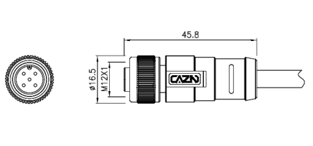 картинка Вилка панельная   M12-B-P4C-PG9